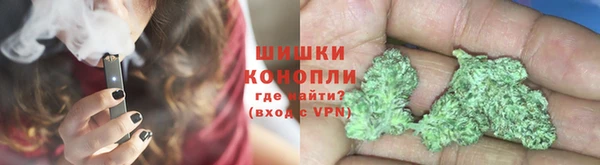 мет Инсар