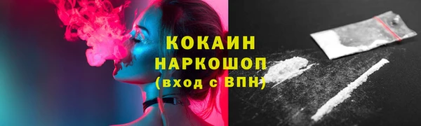 твердый Инта