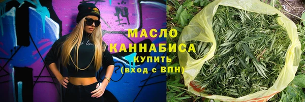 твердый Инта