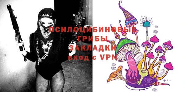 мет Инсар