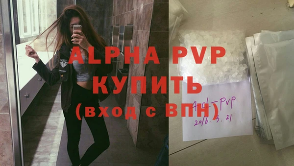 твердый Инта